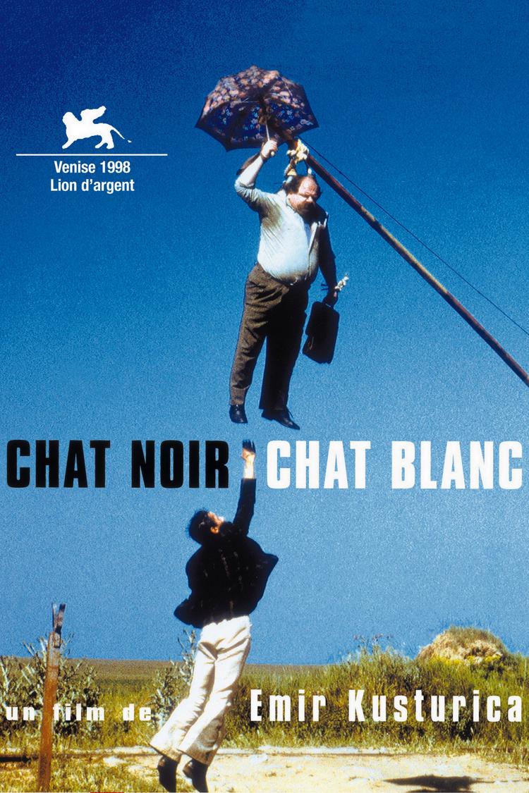 Cin voraces Chat noir chat blanc